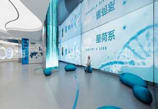 浙江庭园蜗牛有土养殖合作回收